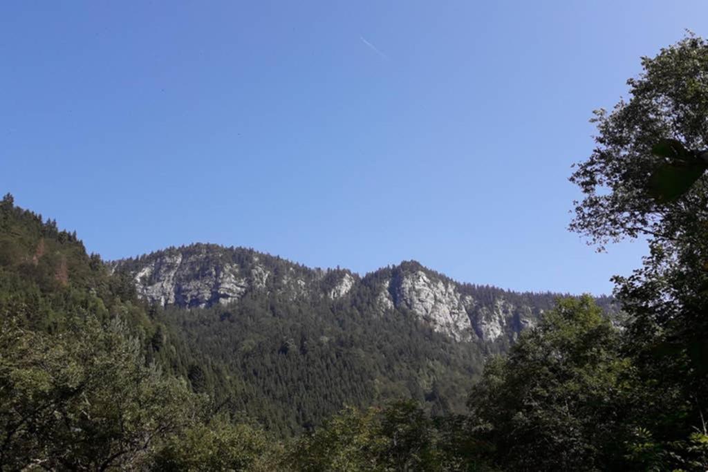 Grand Bornand-La Clusaz Entremont エクステリア 写真